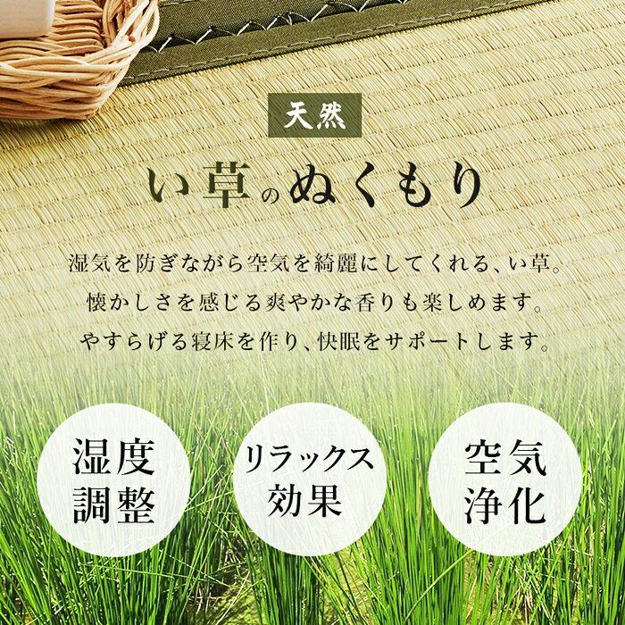 コミットアンド楽天市場店の【期間限定値下げ8/17 13時迄】34999→34763円 畳セミダブルベッド 高さ調整 敷布団対応 天然い草 畳 マット 畳ベッド セミダブルサイズ 和モダン 和風 レトロ ヘッドレス コンパクト 省スペース たたみベッド ベッドフレーム 通気性 湿気対策｜アングル3