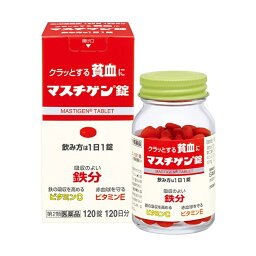 （定形外郵便）発送方法選択の際はメール便をご選択ください　【第2類医薬品】 マスチゲン錠 120錠入（120日分）