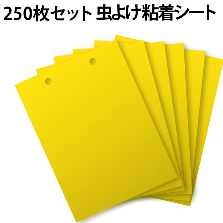 果樹 粘着捕虫板 野菜 粘着シート ベランダ 便利 250枚セット 果菜 花 園芸 黄色 ...