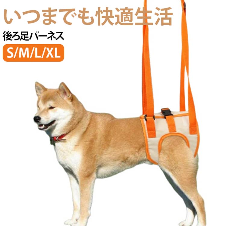 いつまでも快適生活後ろ足パーネスS/M/L/XL最近、後ろの足が弱ってきて、お散歩に支障が出たりしていませんか？少し補助してあげるだけで、劇的にお散歩が楽しくなる。簡単装着で人気の商品です。弱った後ろ足をしっかりサポート脚を通して吊り上げます。柔らか素材で優しく包みます。本体裏地は、通気性の良いメッシュ素材調節付きベルトでしっかり固定調整機能付きのしっかりベルト サイズ S M L XL サイズについての説明 ※上記サイズは平置き実寸になります。サイズ表の実寸法は商品によって1-3cm程度の誤差がある場合がございます。（単位：cm） 素材 ポリエステル 色 オレンジ 備考 ●サイズ詳細等の測り方はスタッフ間で統一、徹底はしておりますが、実寸は商品によって若干の誤差(1cm～3cm )がある場合がございますので、予めご了承ください。 ●製造ロットにより、細部形状の違いや、同色でも色味に多少の誤差が生じます。 ●パッケージは改良のため予告なく仕様を変更する場合があります。 ▼商品の色は、撮影時の光や、お客様のモニターの色具合などにより、実際の商品と異なる場合がございます。あらかじめ、ご了承ください。 ▼生地の特性上、やや匂いが強く感じられるものもございます。数日のご使用や陰干しなどで気になる匂いはほとんど感じられなくなります。 ▼同じ商品でも生産時期により形やサイズ、カラーに多少の誤差が生じる場合もございます。 ▼他店舗でも在庫を共有して販売をしている為、受注後欠品となる場合もございます。予め、ご了承お願い申し上げます。 ▼出荷前に全て検品を行っておりますが、万が一商品に不具合があった場合は、お問い合わせフォームまたはメールよりご連絡頂けます様お願い申し上げます。速やかに対応致しますのでご安心ください。