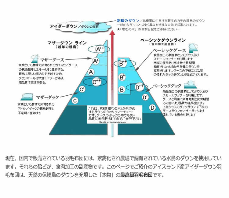 【5％OFF ～9/13 AM9：59まで】3シーズン対応2枚合わせ羽毛フトン（ハンガリーホワイトグース95％）セミダブル布団ふとん（有）アイダ—寝装品