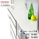 【条件付きで開梱設置】【幅40cm シームレス天板(奥行選択)】TN-40SZ TN-40S2Z※40cm幅対応カンビア CAMBIA インデックス Index...
