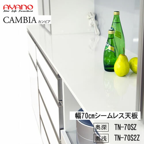 ھդǳ֡ۡ70cm 쥹ŷġʱˡTN-70SZ TN-70S2Z70cmбӥCAMBIA...