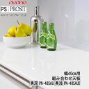 【条件付で設置も可】【幅40cm 組み合わせ天板・カウンター天板 奥深(奥行50cm)タイプ】PN-40SAU PN-40SC プロージット プライム PROS...