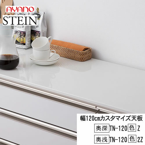 【クーポン最大11％+ポイント12倍 ～5/16 AM9：59まで】【条件付で設置も可】スタイン　STEIN　SW　TN-120（色）Z　TN-120（色）2Z【幅120cm 　カスタマイズ天板】奥行選択　50/45cm綾野製作所正規販売店キッチン収納