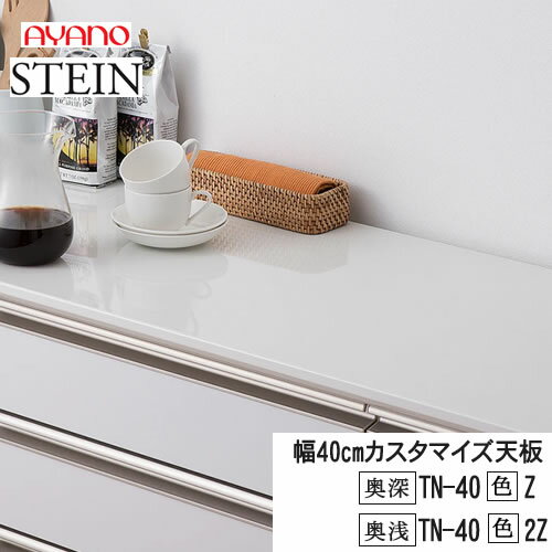 【クーポン最大11％+ポイント12倍 ～6/11 AM9：59まで】【条件付で設置も可】スタイン　STEIN　SW　TN-40（色）Z　TN-40（色）2Z【幅40cm 　カスタマイズ天板】奥行選択　50/45cm綾野製作所正規販売店キッチン収納