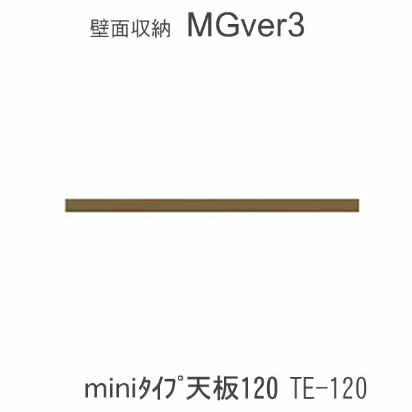 【ポイント10倍 ～5/16 AM9：59まで】MGver.3 EVE2 FWmini-TE120 120cm幅miniタイプ天板 奥行D47タイプ すえ木工 壁面収納（受注生産品） mg version3 YMG イヴ2 MGS