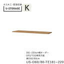 【ポイント7倍 〜5/16 AM9:59まで】【条件付きで開梱設置】ユニバーサルストレージ universal storage US TE181-220 OPS...