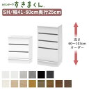 【ポイント10倍 〜5/16 AM9:59まで】カウンター下すきまくん CSD-SH 奥行25cm幅41〜60cm 高さ60〜103cmオーダーフジイカウンター...