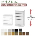 【ポイント10倍 〜5/16 AM9:59まで】カウンター下すきまくん CSD-SH 奥行35cm幅41〜60cm 高さ60〜103cmオーダーフジイカウンター...
