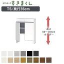 【ポイント10倍 〜5/16 AM9:59まで】カウンター下すきまくん CSD-TS 奥行35cmすっきり配線キャビネット 幅56〜80cm 高さ60〜103c...