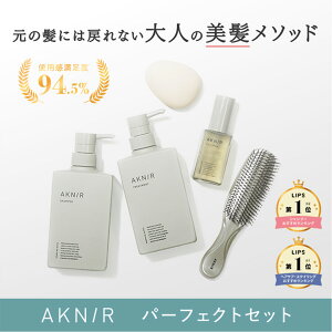 【シリーズ累計80万個突破】AKNIR 梨花開発 パーフェクトセット シャンプー トリートメント ヘアスカルプセラム シャンプーブラシ スカルプブラシ ギフト エイジングケア 頭皮ケア 薬用 抜け毛 ハリコシ 艶髪 乾燥 育毛剤