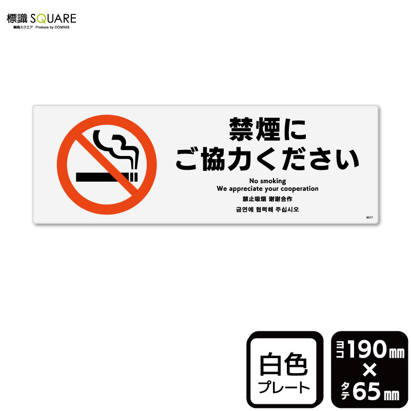 ɸ��SQUARE���ֶر�ˤ����Ϥ��������ס�CTK6017���ڥץ饹���å��ץ졼�ȡۥ襳������190mm�߽�65mm