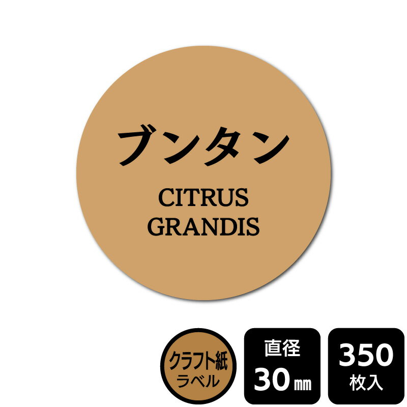 販促応援！ たべものシール 「ブンタン」　DKA1174【クラフト紙ラベル】直径30mm　350ラベル