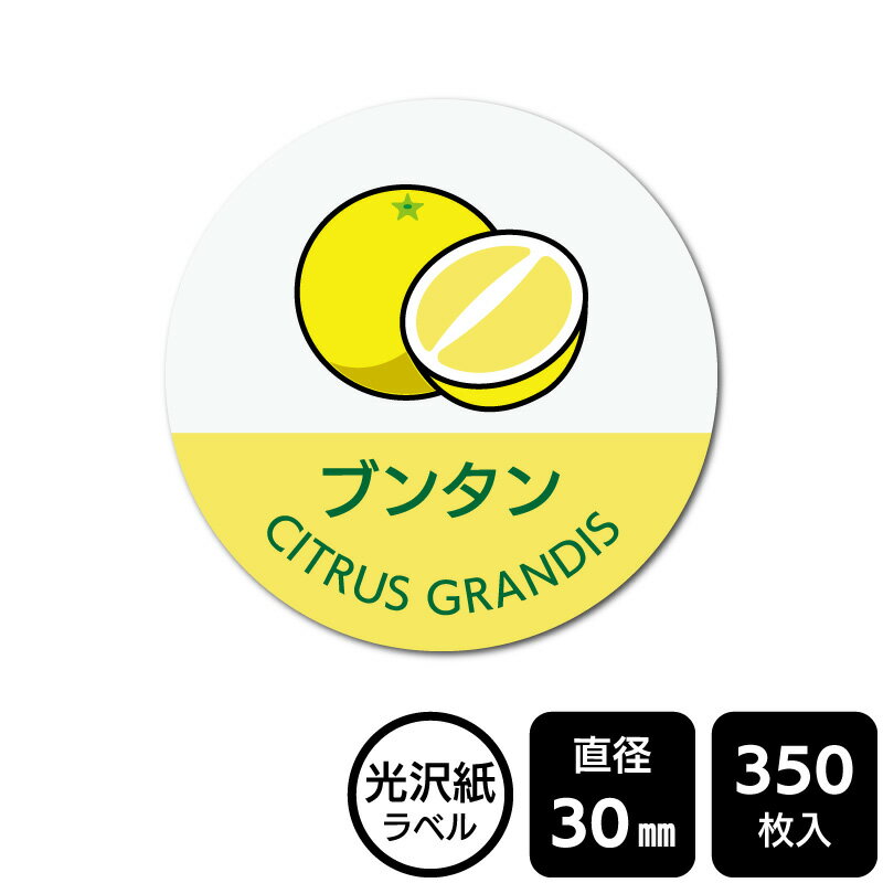 樂天商城 - 販促応援！ たべものシール 「ブンタン(イラスト入り)」　DMA2202 【光沢紙ラベル】直径30mm　350ラベル
