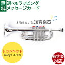 BONTEMPI ボンテンピ|シルバートランペット 4keys 37cm|3歳から|音の出るおもちゃ 楽器 知育玩具|リズム遊び|誕生日 ギフト 入園 入学|男...
