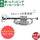 BONTEMPI ボンテンピ|シルバートランペット 4keys 42cm|3歳から|音の出るおもちゃ 楽器 知育玩具|リズム遊び|誕生日 ギフト 入園 入学|男...