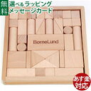 積み木 日本製 木のおもちゃ BorneLund（ボーネルンド）社 オリジナル積み木 S 白木 木のおもちゃ 積木 お誕生日 1歳：男 お誕生日 1歳：女 おうち時間 子供 入園 入学