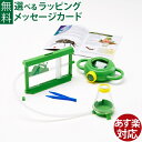 知育玩具 BorneLund(ボーネルンド ).エデュトーイ社 昆虫観察キット自由研究 おうち時間 子供