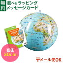\送料無料/ メール便のみ 地球儀 BorneLund(ボーネルンド)社 キャリー プラネットボール 動物たちの大陸 50cm お誕生日 4歳 おうち時間 子供