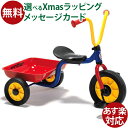 乗用玩具 三輪車 出産祝い BorneLund（ボーネルンド ）.winther（ウィンザー）社 ペリカン三輪車Vハンドルカラー おうち時間 子供 クリスマスプレゼント