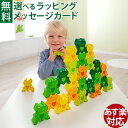 知育玩具 ハバ社 HABA かえるつむつむ・25 色合わせ 2歳 積み木 木のおもちゃ 入園 入学 脳トレ おうち時間 子供