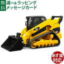 Bruder ブルーダー 正規輸入品 ドイツ CAT テラインローダー 02136 1/16 キャタピラー ミニカー ごっこ遊び おうち時間 外遊び 子供