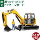 Bruder ブルーダー 正規輸入品 ドイツ CAT ミニショベル(フィギュア付き） 02466 1/16 キャタピラー ミニカー ショベルカー ごっこ遊び おうち時間 外遊び 子供