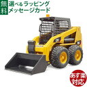 Bruder ブルーダー 正規輸入品 ドイツ CAT スキッドステアローダー 02481 1/16 キャタピラー ミニカー ごっこ遊び おうち時間 外遊び 子供