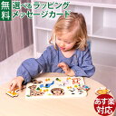 木のおもちゃ Classic WORLD クラシックワールド ズー ペグパズル カラフル 1歳半 パズル ペグパズル 指先知育 知育玩具 木製玩具 お誕生日 お...