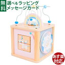 Classic WORLD クラシックワールド ドリームアクティビティーキューブ|型はめ ルーピング|1歳 2歳 3歳|積木 木製玩具 知育玩具 お誕生日 出産...