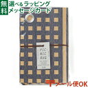メール便OK 山陽製紙 crep(クレプ) PICNIC RUG(ピクニックラグ)CHECK ネイビー M135cmx90cm/892281 アウトドア 防水 ...
