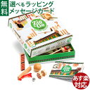 知育玩具 パズル DJECO ジェコ Zig&Go ジグ&ゴー 27ピース ドミノ倒し ピタゴラスイッチ 連鎖反応 アナログプログラミング おうち時間 子供