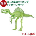 メール便OK 恐竜 おもちゃ EDU-SCIENCE社 クラフト グロー恐竜骨格 スピノサウルス おうち時間 子供