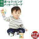 木のおもちゃ 出産祝い ベビーギフトセット アヒル ハーフバースデー おうち時間 子供