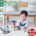 Tryco トライコ|ブロックセット50ピース|積み木 ブロック 指先知育 木製玩具 木のおもちゃ|2歳 3歳| ベルギー 知育玩具 お誕生日 ギフト 初節句祝