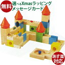 木のおもちゃ 迷路 ボイラ 知育玩具 3歳 カラフルキャッスル（おしろの迷路A） お誕生日 おうち時間 子供 xmas クリスマス プレゼント
