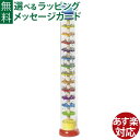 木のおもちゃ ドイツ goki ゴキ社 レインスティック おうち時間 子供