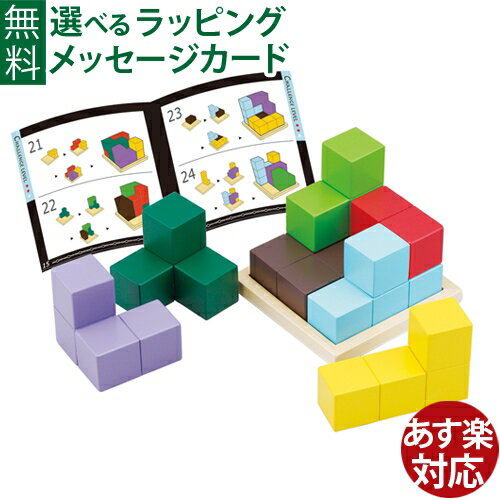 脳トレ 認知症予防 エドインター 木のおもちゃ/知育玩具 賢人パズル 誕生日 おうち時間 子供