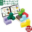 脳トレ 認知症予防 エドインター 木のおもちゃ/知育玩具 賢人パズル 誕生日 おうち時間 子供