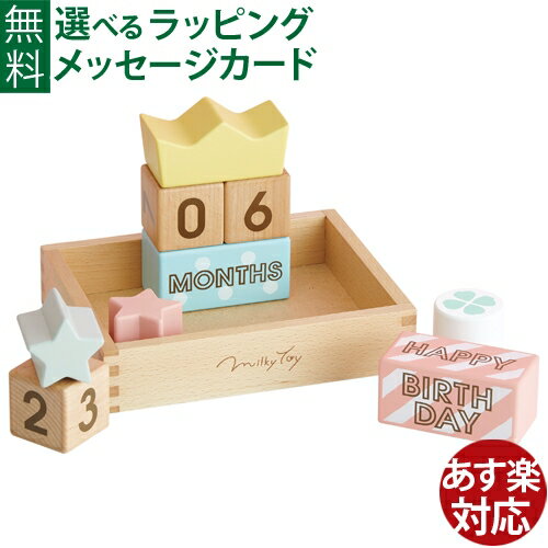 月齢 マンスリー お昼寝アート 寝相アート エドインター Memory Biscuits メモリービスケット 木のおもちゃ 積み木 ブロック 誕生日 出産祝い おうち時間 子供