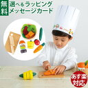 木のおもちゃ エドインター ままごと ピエトロドレッシング サラダセット 木製 おままごと ごっこ遊び 食育 誕生日 出産祝い おうち時間 子供 ギフト 初節句...