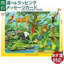 パズル 子供用 Ravensburger ラベンスバーガー ジャングルの動物たち(11ピース)3歳 おうち時間 子供