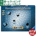 ジグソーパズル 大人用 Ravensburger ラベンスバーガー クリプト シルバー 654ピース アート 同色 パズル おうち時間 子供