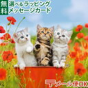LPメール便OK パズル 子供用 Ravensburger ラベンスバーガー 子猫の冒険(12ピース×2) 3歳 おうち時間 子供
