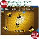 ジグソーパズル 大人用 Ravensburger ラベンスバーガー クリプト ゴールド 631ピース アート 同色 パズル おうち時間 子供(3)