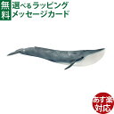 シュライヒ 動物 schleich 14806 シュライヒ ワイルドライフ シロナガスクジラ おうち時間 子供