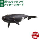 シュライヒ 動物 schleich 14878 シュライヒ ワイルドライフ タイセイヨウセミクジラ おうち時間 子供