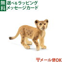 メール便OK schleich 14813 シュライヒ 動物 フィギュア ライオン(仔)おうち時間 子供