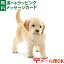 メール便OK シュライヒ 動物 フィギュア schleich 16396 ゴールデン・レトリバー(仔)ドイツ おうち時間 子供 入学 入園 748円